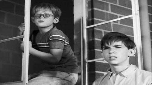 The Fugitive Season 2 Episode 11 - Cry Uncle