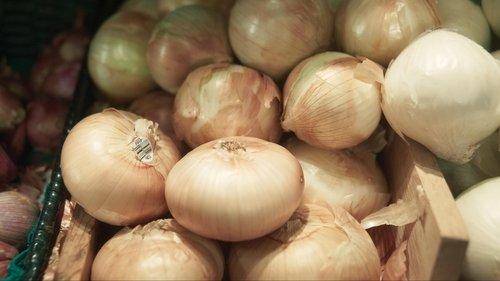 The Bear Season 4 Episode 4 - Worms