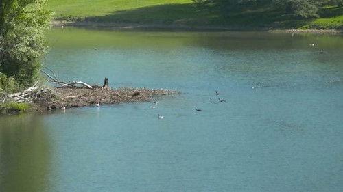 Countryfile Season 35 Episode 20 - Blenheim