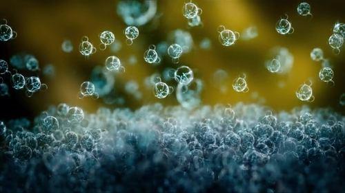 Cosmos Season 1 Episode 6 - Deeper, Deeper, Deeper Still