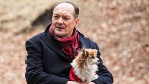 Galeria Season 3 Episode 24 - Episode 24