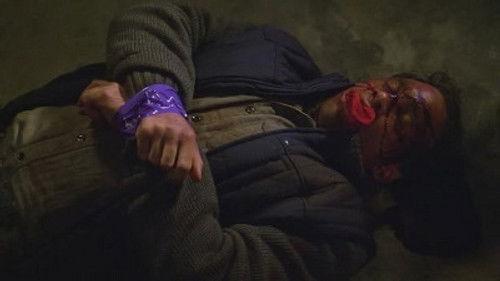 CSI: NY Season 7 Episode 15 - Vigilante