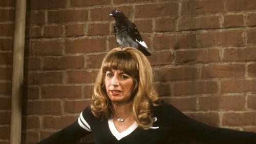 Laverne & Shirley Season 6 Episode 10 - Love Out the Window