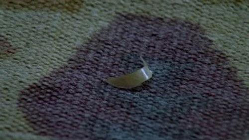 Love Soup Season 2 Episode 7 - Green Widow