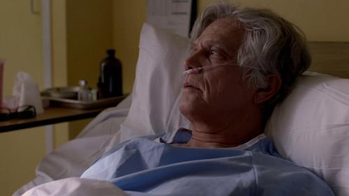 Evil Lives Here Season 3 Episode 4 - The Black Widow