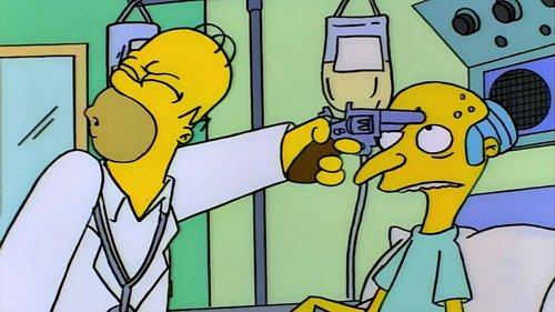 The Simpsons Season 7 Episode 1 - Who Shot Mr. Burns? (2)