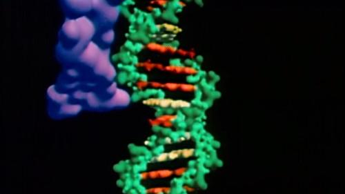 Cosmos: A Personal Voyage Season 1 Episode 11 - The Persistence of Memory