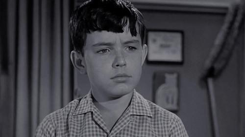 Leave It to Beaver Season 4 Episode 27 - Beaver's Report Card