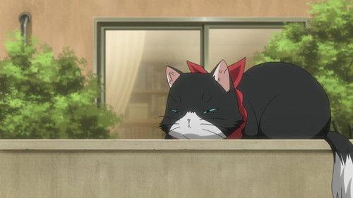 Nyan Koi! Season 1 Episode 11 - Friends