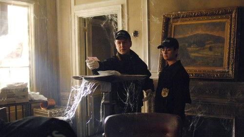 NCIS Season 4 Episode 15 - Friends and Lovers