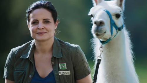 Tierärztin Dr. Mertens Season 6 Episode 7 - Episode 7