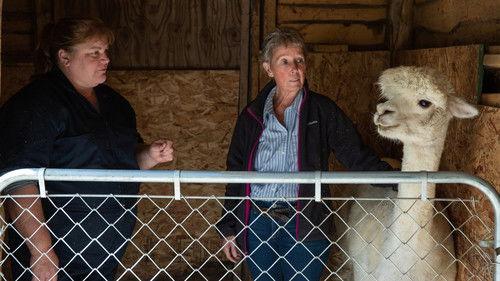 The Incredible Dr. Pol Season 17 Episode 6 - Hocus Pol-cus