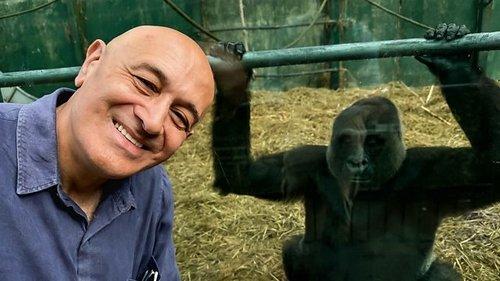 Horizon Season 61 Episode 4 - Secrets of the Brain (2)