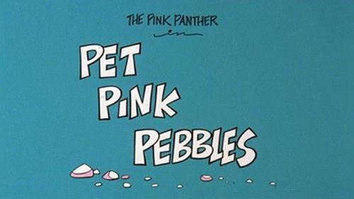 The All New Pink Panther Show Season 1 Episode 40 - Pet Pink Pebbles
