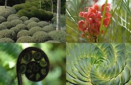 Around the World in 80 Gardens Season 1 Episode 2 - Australia and New Zealand