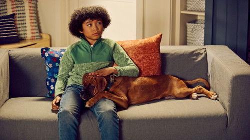 Puppy Place Season 1 Episode 7 - Jack