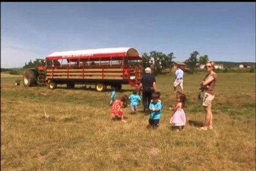 Jon & Kate Plus 8 Season 2 Episode 7 - A Cow Purchase