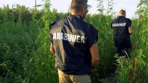 Avamposti – Dispacci dal confine Season 1 Episode 1 - Episode 1