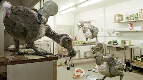 Primeval Season 1 Episode 4 - Dodo Madness