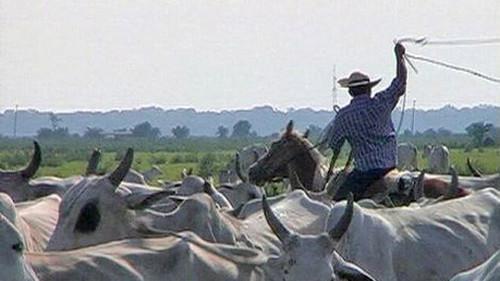 Cestománie Season 4 Episode 22 - Episode 22