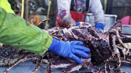 Deadliest Catch Season 12 Episode 5 - Million-Dollar-Bet