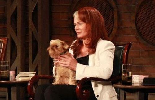 Dragons' Den Season 5 Episode 12 - Episode 12