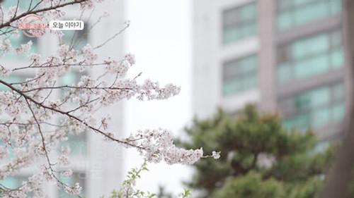 Love After Divorce Season 5 Episode 10 - Episode 10