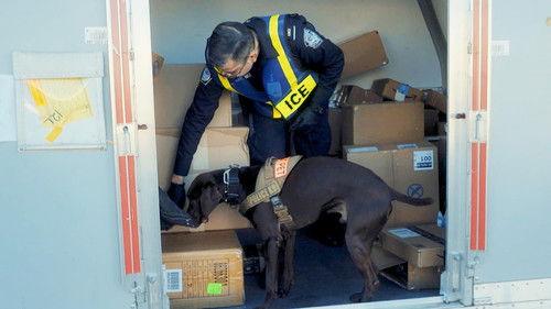 Airport Security: USA Season 1 Episode 10 - Episode 10