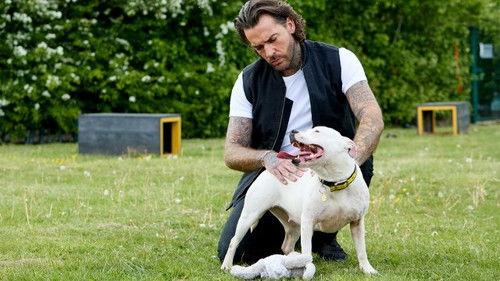 Pete Wicks: For Dogs’ Sake Season 2 Episode 4 - Queen Bee, Winter Elliot