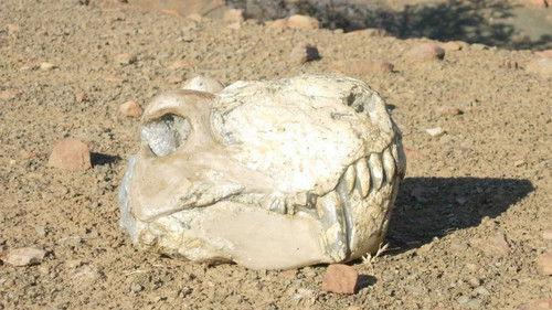 How the Earth Was Made Season 2 Episode 11 - Earth's Deadliest Eruption