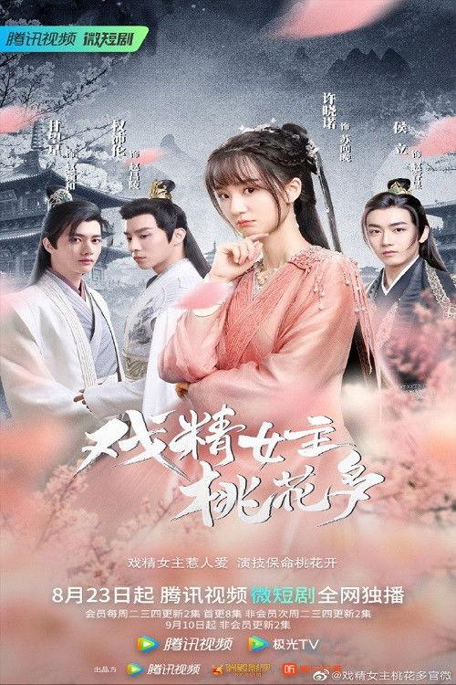 Affairs of a Drama Queen poster
