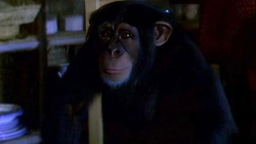 Tarzán Season 3 Episode 23 - Tarzan and the Curse of Death