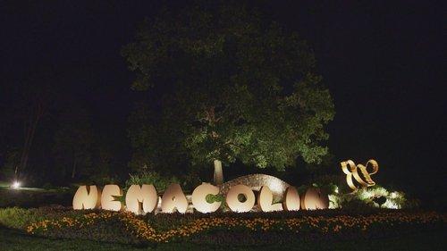 The Real Housewives of Potomac Season 3 Episode 8 - That's Scentertainment