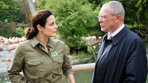 Tierärztin Dr. Mertens Season 6 Episode 1 - Episode 1