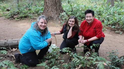 Seeing Canada Season 4 Episode 8 - Indigenous Cooking and a Sunshine Coast Adventure