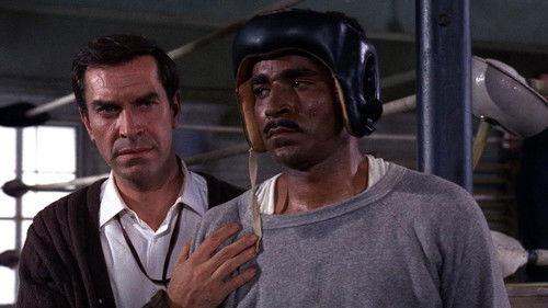 undefined Season 3 Episode 3 - The Contender (2)