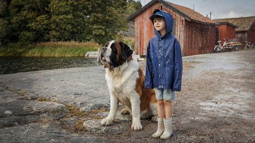 undefined Season 1 Episode 1 - Episode 1