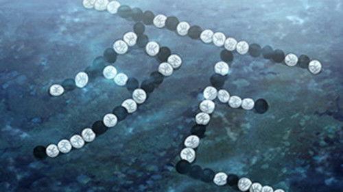 The File of Young Kindaichi Returns Season 2 Episode 5 - The Blood Pool Hall Murder, File 1