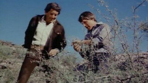 Petrocelli Season 2 Episode 16 - Blood Money