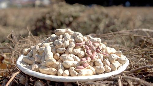 Trails to Oishii Tokyo Season 2 Episode 17 - PEANUTS