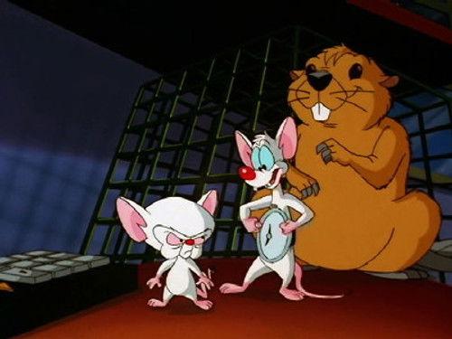 undefined Season 3 Episode 1 - Leave It to Beavers