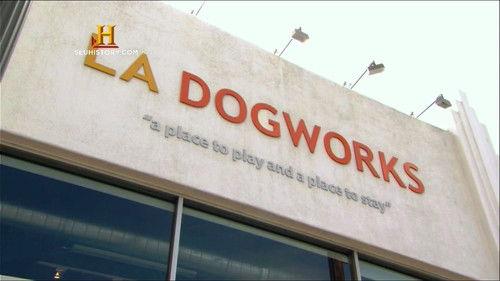 The Profit Season 1 Episode 5 - LA Dogworks