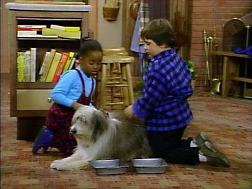 The Cosby Show Season 3 Episode 10 - A Girl and Her Dog