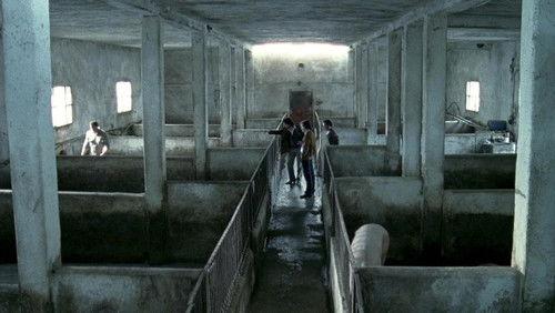 Romanzo Criminale: The Series Season 1 Episode 7 - Episode 7