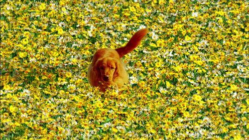 undefined Season 2 Episode 13 - Kerplunk