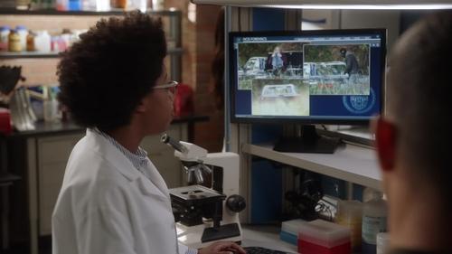 NCIS Season 19 Episode 21 - Birds of a Feather