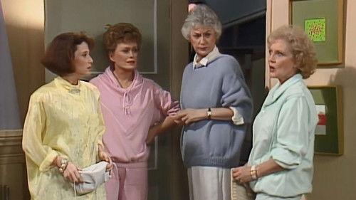 The Golden Girls Season 1 Episode 17 - Nice and Easy