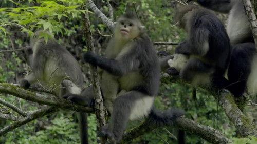 Unexplored Land Season 1 Episode 3 - Episode 3