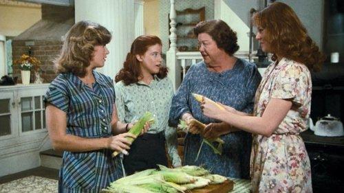 The Waltons Season 9 Episode 7 - The Last Ten Days