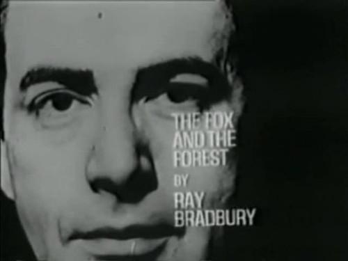 Out of the Unknown Season 1 Episode 8 - The Fox and the Forest